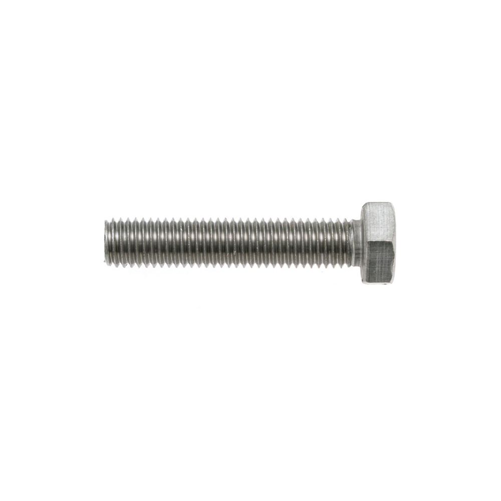 Hex Set Screw 304 Stainless M6x10 From BST Group.